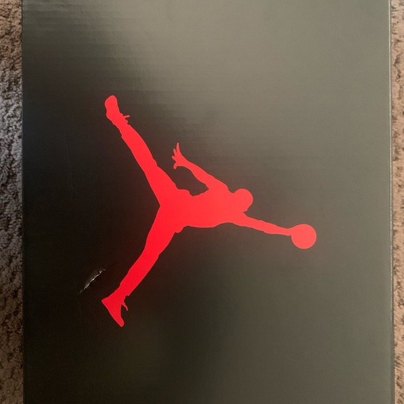 Jordan 5 MoonLight (Oreo) - Picture 5 of 6